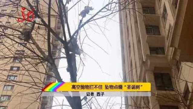 “高空抛物”正式入刑 全国首例高空抛物罪案件公开宣判