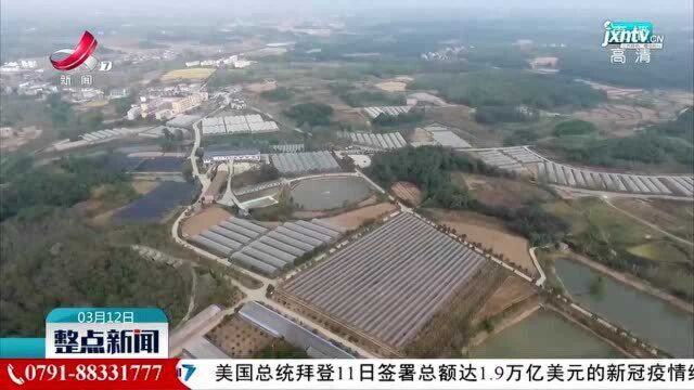 都昌:打造89个带贫益贫产业基地