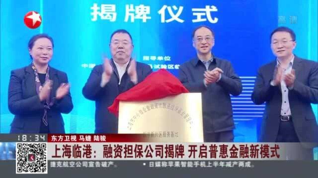 上海临港:融资担保公司揭牌 开启普惠金融新模式