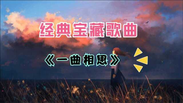 好听的经典宝藏歌曲《一曲相思》