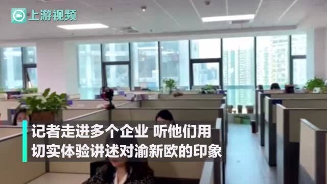 企业眼中的中欧班列(渝新欧)是怎样?听他们和“搬运工”这十年的故事