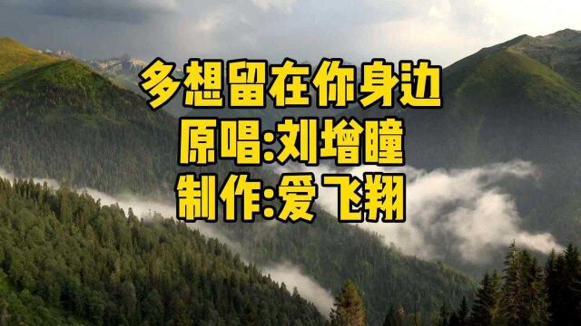 刘增瞳一首《多想留在你身边》经典老歌,好听极了