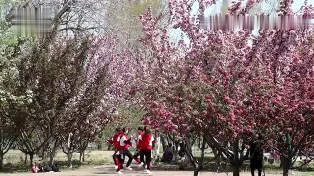 水上公园游人如织:游园踏青好假日