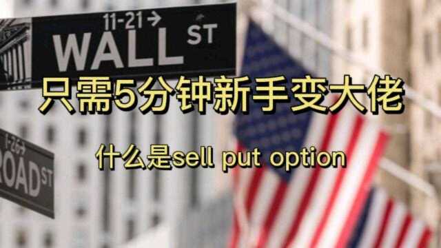 雷达证券|什么是sell put option期权?只需5分钟新手变大佬!