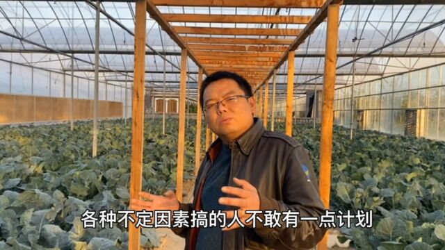 夹缝中生存的有机蔬菜,义购农场我们至少要坚持.