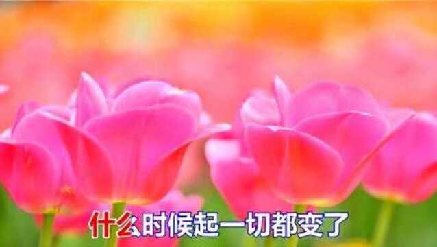 一首经典情歌《熟悉的陌生人》