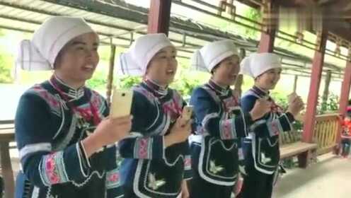 贵州黔南布依族山歌，布依姑娘爱唱歌，唱得情合意也合 - 腾讯视频