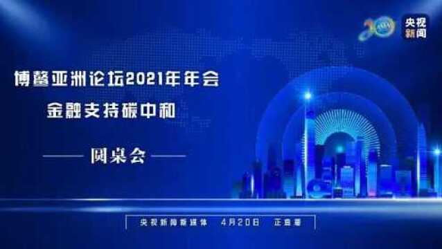 博鳌亚洲论坛2021年年会 金融支持碳中和圆桌会议