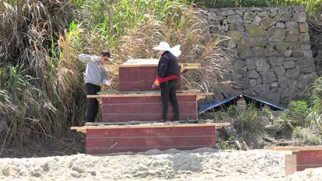 5天推出158项活动!宁波即将进入“热闹模式”,还有大批免费福利......