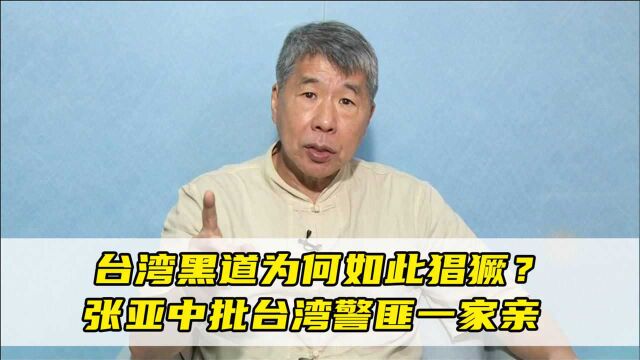 台湾黑道为何如此猖獗?张亚中批台湾警纪败坏