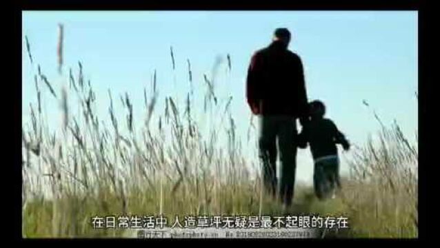 小县城的中国公司,却蝉联10年世界第一,独占全球15%的市场