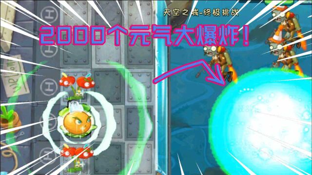 PVZ2:充能柚子和铜钱草鼓手,重叠种植2000棵,元气弹超级攻击