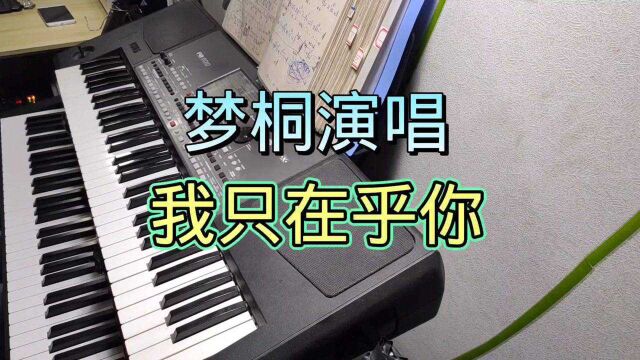 央视国际频道主持人梦桐演唱《我只在乎你》