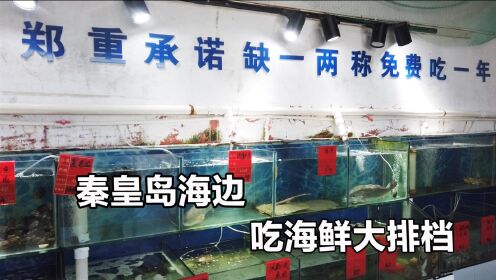 秦皇岛海边渔港吃海鲜，800元一大桌，新鲜有特色价格真不贵