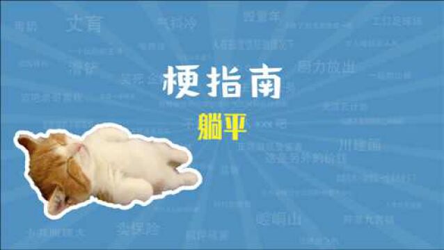 躺平是什么梗【梗指南】