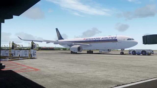  巴厘岛新加坡  WADDWSSS  新航A330300!