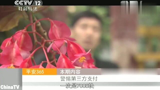 回顾:男子上网买宠物却被骗上万元!第三方支付担保平台真假难辨!