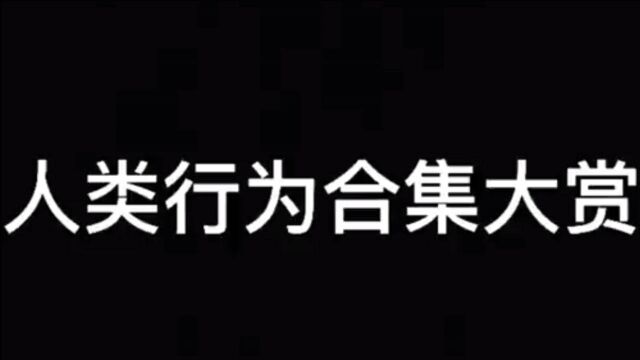 人类行为合集大赏