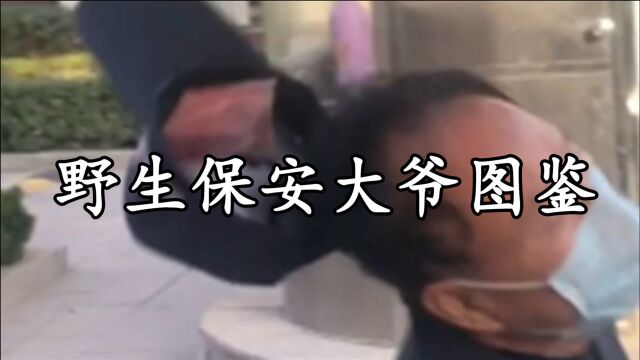 野生保安大爷图鉴:多才多艺