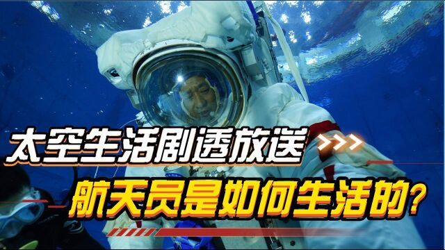 神舟十二号成功发射!宇航员是如何吃饭、睡觉和洗澡的?太空生活大揭秘来了#“知识抢先知”征稿大赛#