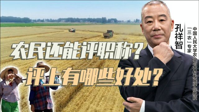 不给农民发工资生活保障怎么来?孔祥智:“文凭”和补贴要到位