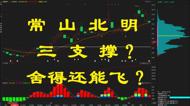 【常山北明】三支撑?你怎么看?舍得酒业 回档是起飞?还是?