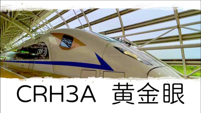 CRH3A,黄金眼 昆山南站,D636