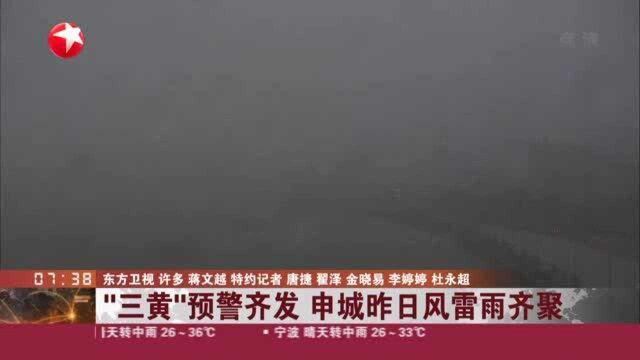 “三黄”预警齐发 申城昨日风雷雨齐聚