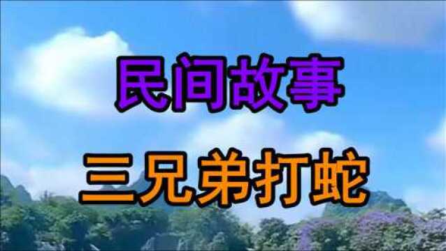 民间故事《兄弟三打蛇》从前李家庄里有一户人家男主家姓李