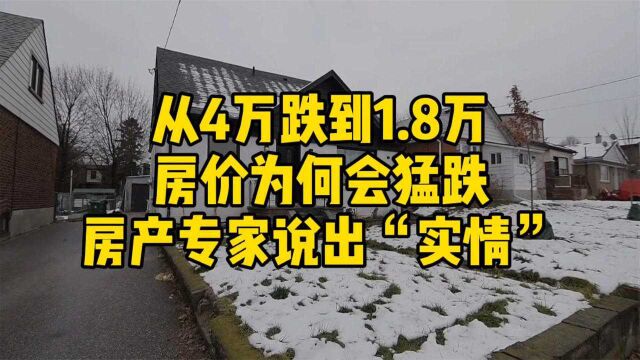 从4万跌到1.8万,房价为何会猛跌?房产专家说出“实情”