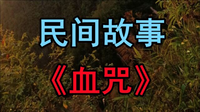 民间故事《血咒》某天晚上地大地矿系的几个男生来到到操场烧烤