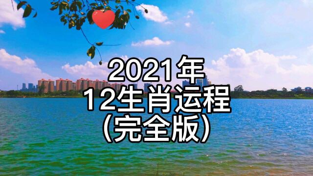 2021年12生肖