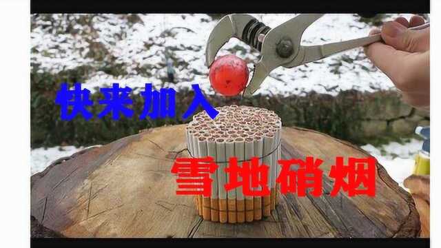 雪地硝烟你见过吗? #“知识抢先知”征稿大赛#