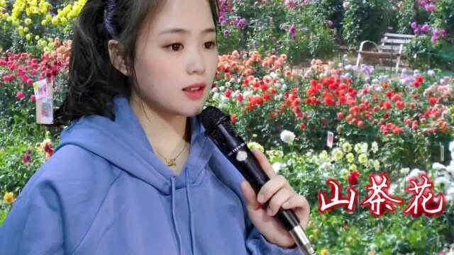 经典怀旧歌曲《山茶花》送给朋友们,歌声让人陶醉,回味无穷!