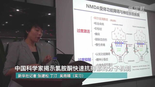 中国科学家揭示氯胺酮快速抗抑郁的分子机制