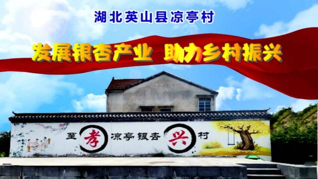 【视频】湖北英山县凉亭村:发展银杏产业 助力乡村振兴