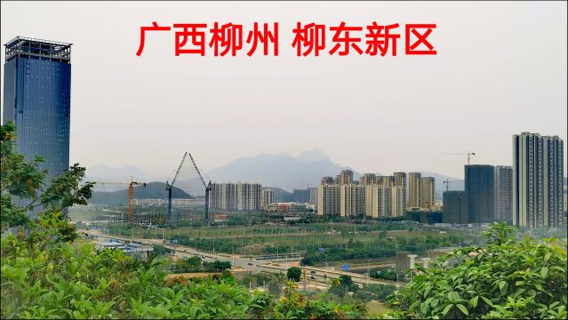 广西柳州有个柳东新区,与南宁五象新区和桂林临桂新区相比,谁建设得更好?