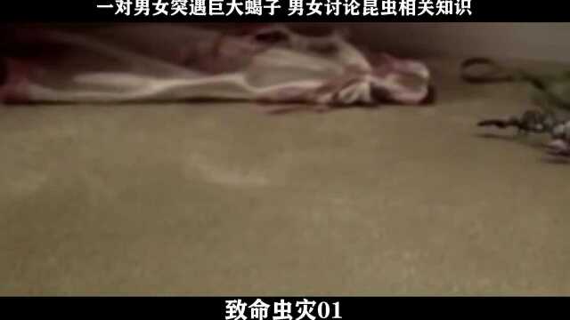 致命虫灾01,一对男女突遇巨大蝎子 男女讨论昆虫相关知识batch