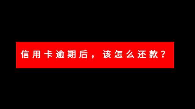 信用卡逾期后,该怎么还款?