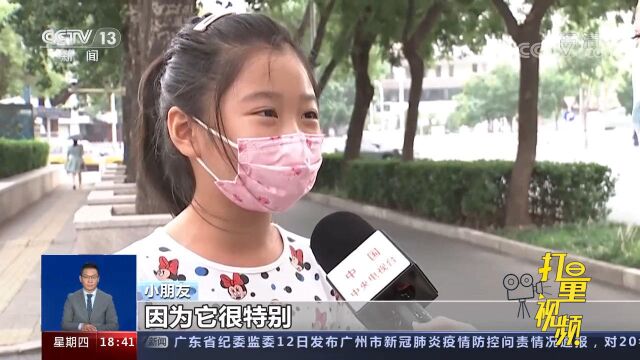 温顺、特别!在大家眼里大象到底是种什么样的动物?