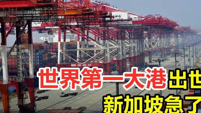 中国耗资700亿,建造世界第一大港,吞吐量超越美国全部港口 #知识ˆ’知识抢先知#