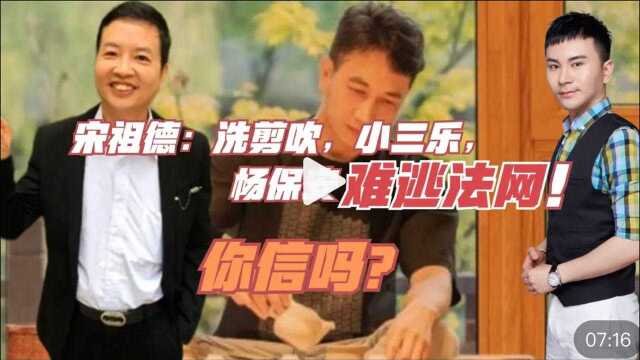 宋祖德:洗剪吹,小三乐,杨保安难逃法网!你信吗?