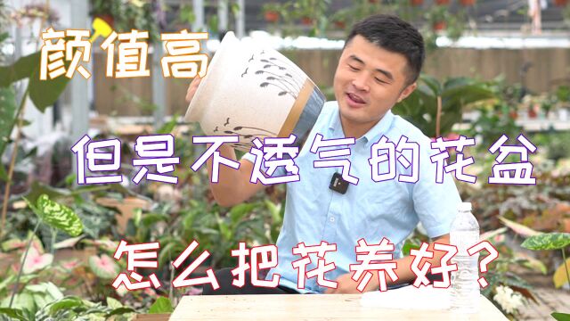 颜值高但是不透气的花盆怎么把花养好?深盆透水层制作教学.