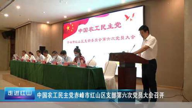 中国农工民主党赤峰市红山区支部第六次党员大会召开