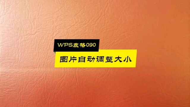 WPS表格090:图片自动调整大小