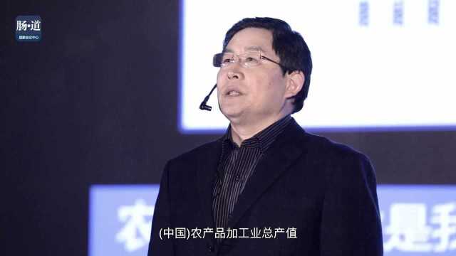 戴小枫:未来30年,精准营养的个性化服务要走哪几步?