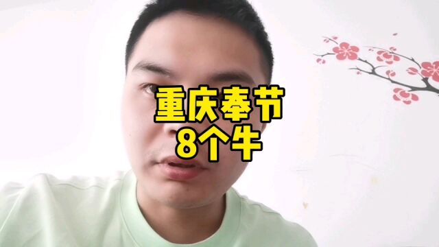 重庆奉节这8个西门塔尔牛,但是这个价你们有几个能够看懂