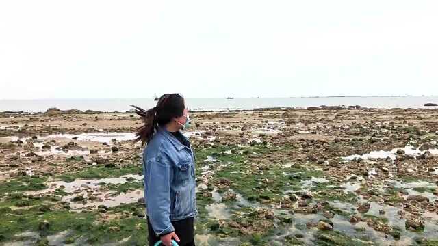 海边海虹“大量滞销”,沙滩全是大串海虹无人捡,小倪瞬间捡爆桶