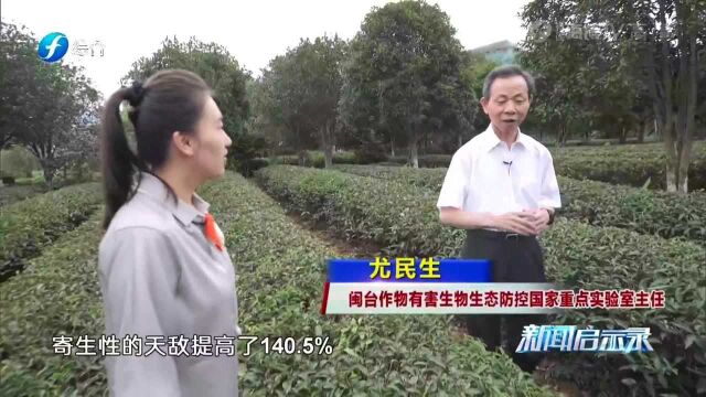 厉害了1小小茶虫危害竟如此之大 带你了解 对付茶园害虫的“十八般武艺”