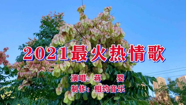 2021最火热情歌,超级好听,声声入耳,让人陶醉!